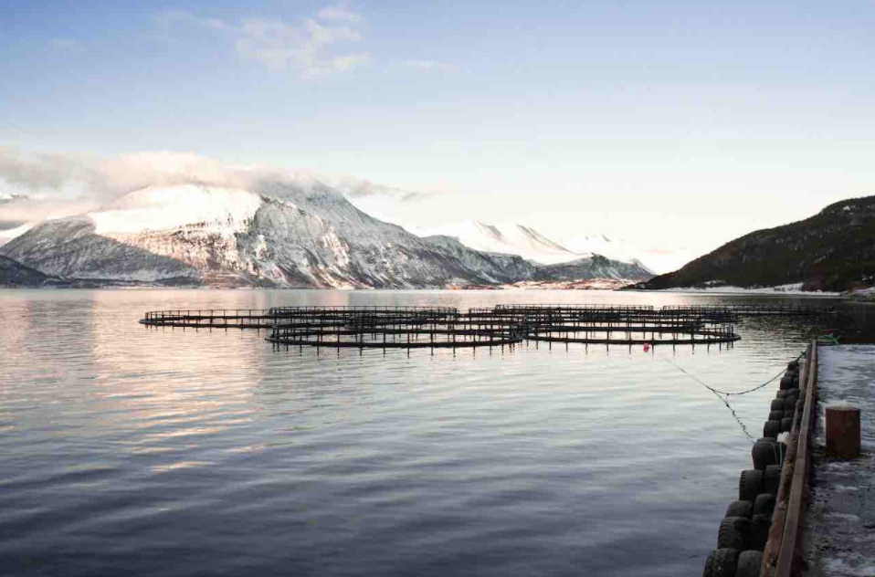 Aquaculture-1