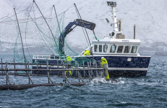 Crosby Fishing Boat